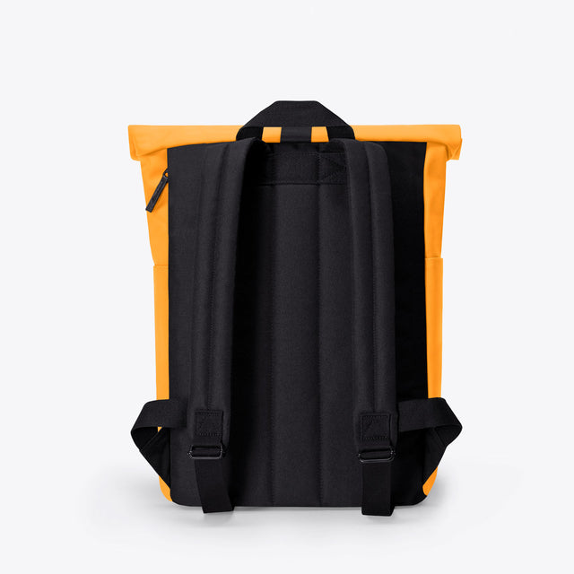 Bundle #24