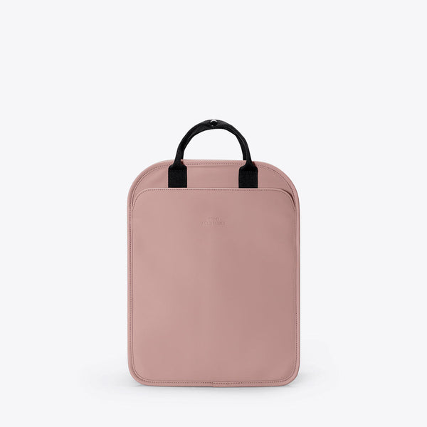 Rose / Mini