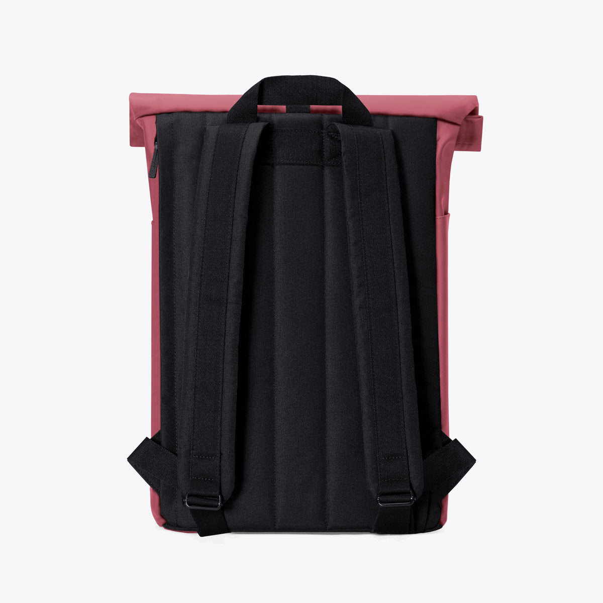 Hajo Roll-Top Backpack - Burgundy / Medium