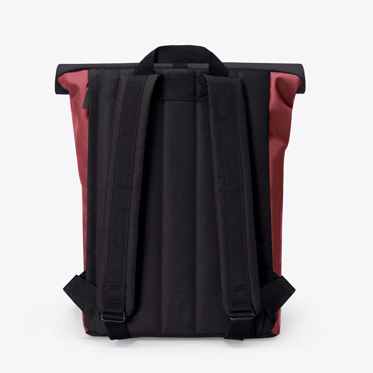 Jannik Roll-Top Backpack - Burgundy - Sand / Medium