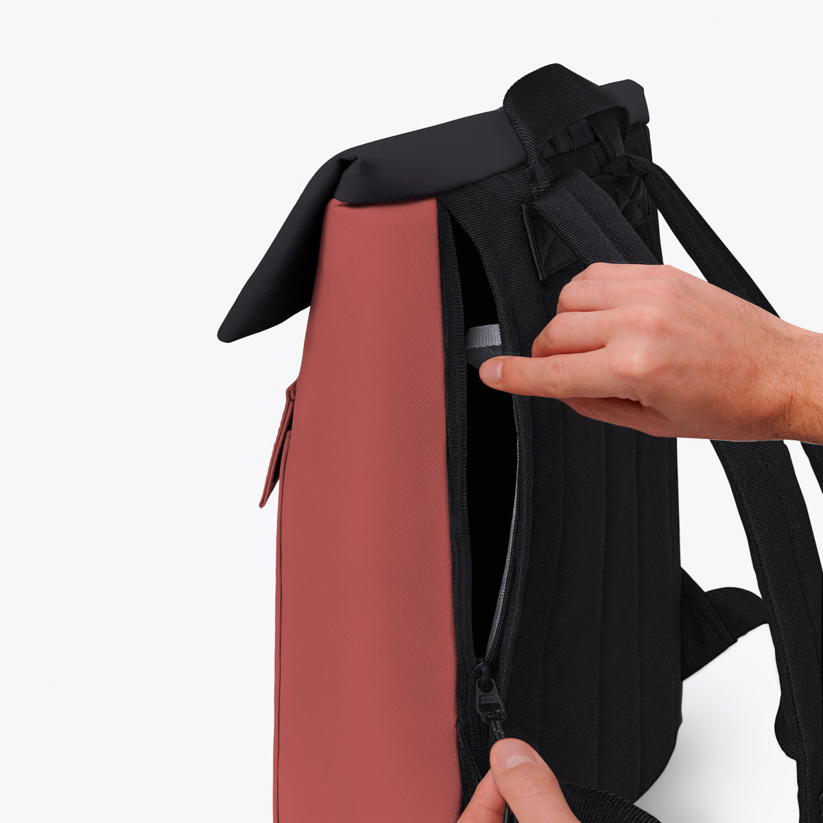 Jasper Roll-Top Backpack - Hibiscus - Black / Mini