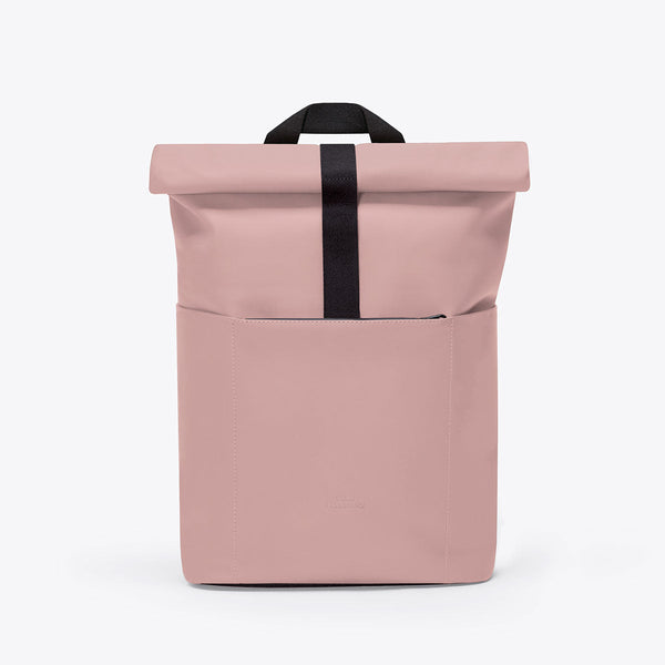 Rose / Mini